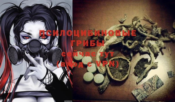 PSILOCYBIN Белокуриха
