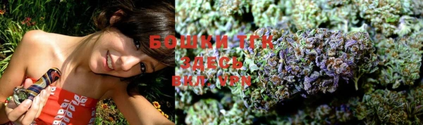PSILOCYBIN Белокуриха