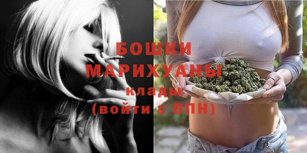 PSILOCYBIN Белокуриха