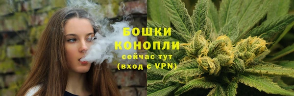 гашик Беломорск