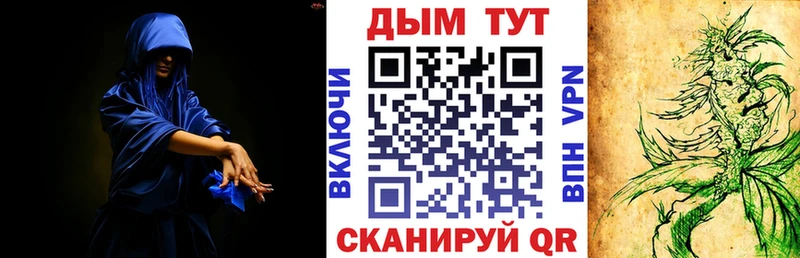 Конопля марихуана Мезень